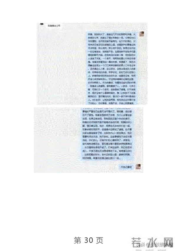 项思醒ppt下载