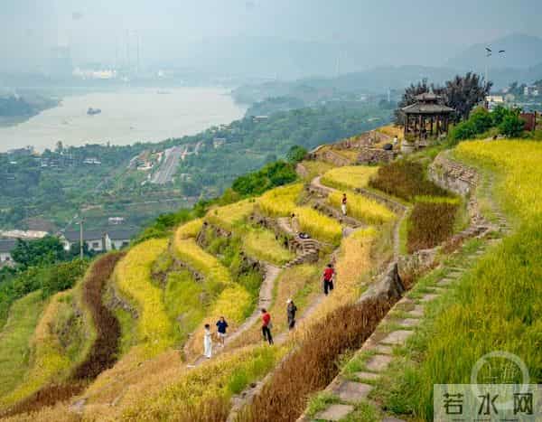 金鳌山:秋日金鳌山 五彩梯田美