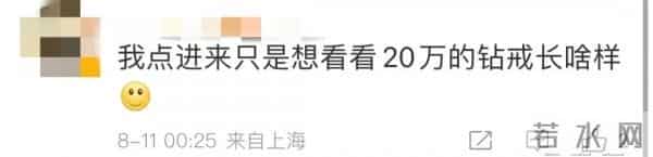 保姆误扔3枚钻戒价值20万