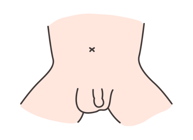 小JJ：男宝私处说明书：包皮、蛋蛋、小 JJ，这些问题必须得知道
