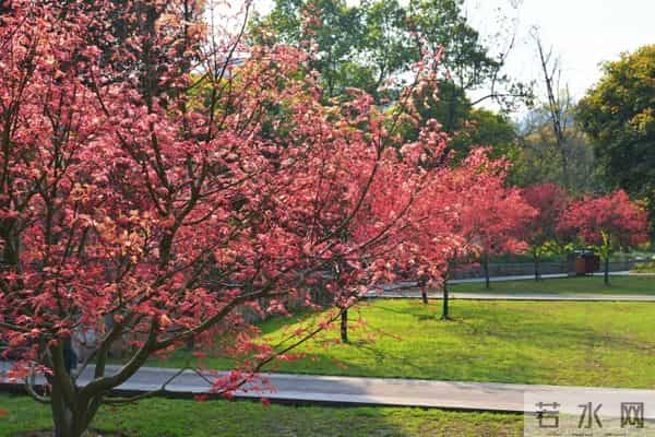鸿恩寺儿童公园