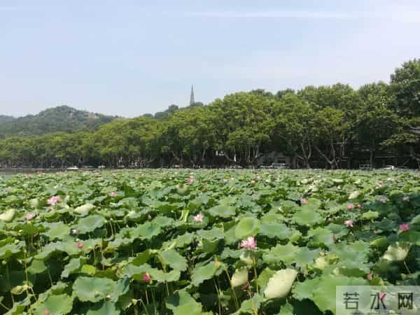 浙江面积：什么是浙江？