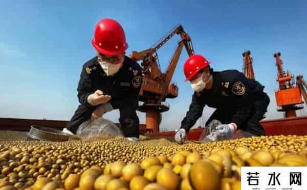 中方连续两天出手，130万吨大豆运往中国，美方计划落空