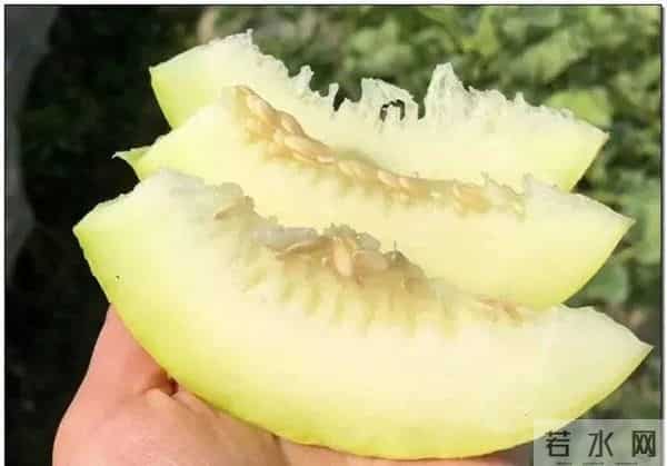 曹县翰林府吃瓜