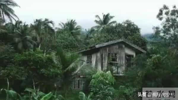 德国空难：空难惊魂：17岁德国少女千米高空坠落生还，汽油清洗伤口扯出蛆虫
