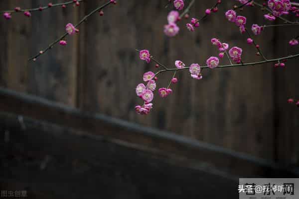 宋亚轩中考成绩多少分