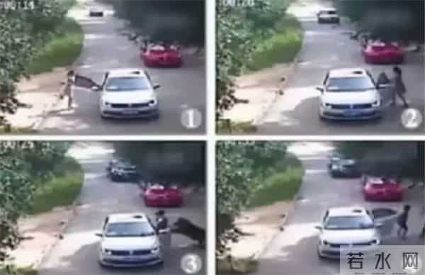 老虎伤人女主角摘口罩