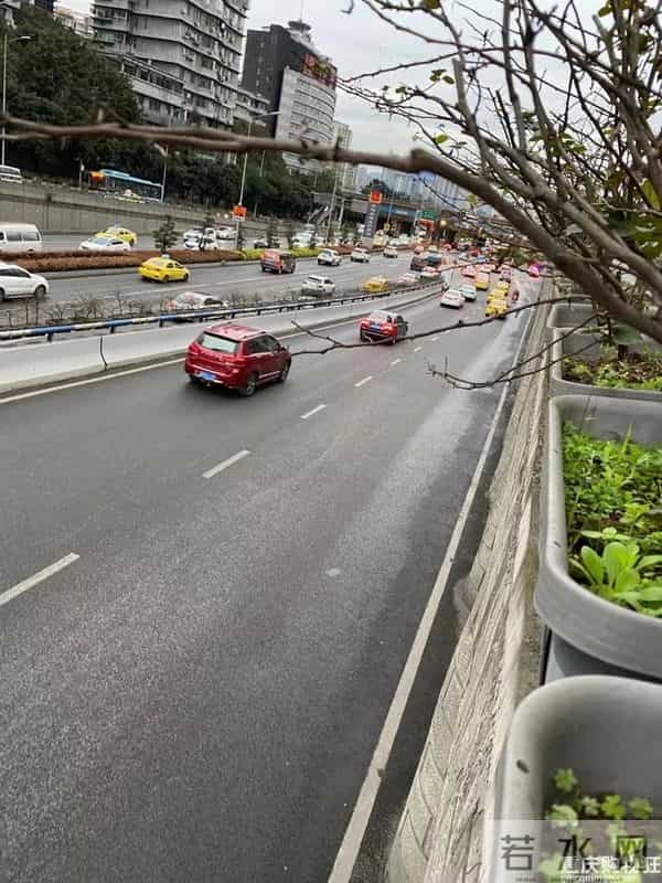 重庆嫩雀儿：直击重庆第一个限行+限号工作日交通路况！网友：被堵到怀疑人生