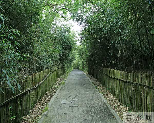 重庆到金佛山路线