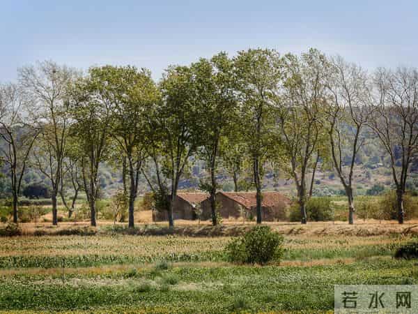 和理发店阿姨第一次