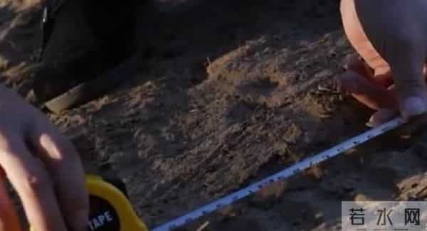 北京双胞胎虐杀案