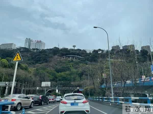 重庆嫩雀儿：直击重庆第一个限行+限号工作日交通路况！网友：被堵到怀疑人生