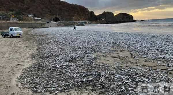 日本护肤品辐射名单