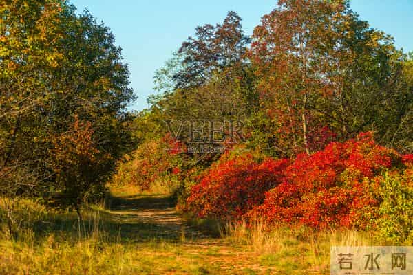 我还是觉得幸福更多