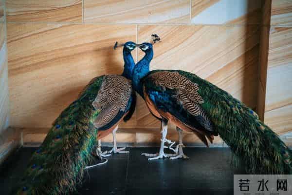 西双版纳住宿攻略推荐