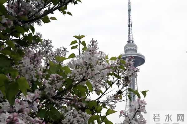 中国面积最大的省份