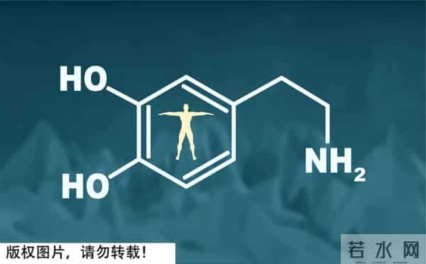 恋袜:丝袜最初竟是为男性设计的!为什么充满诱惑?正经的科普来了