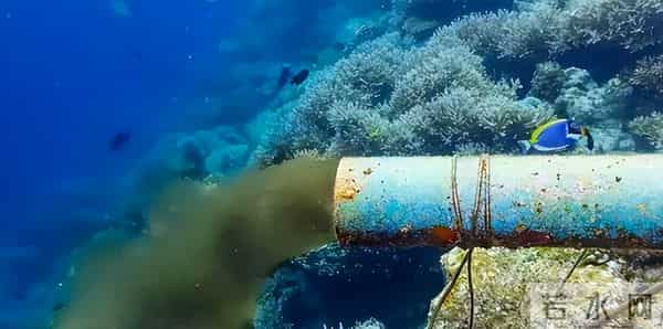 日本护肤品辐射名单