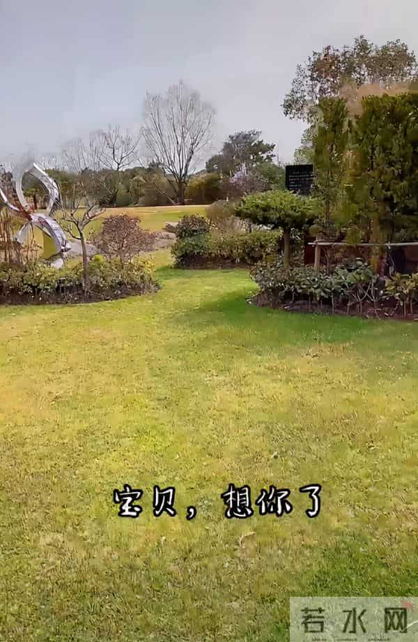 乔任梁妈妈:乔任梁妈妈独往墓园扫墓,向爱子报平安泪点多,碑前满是鲜花供品