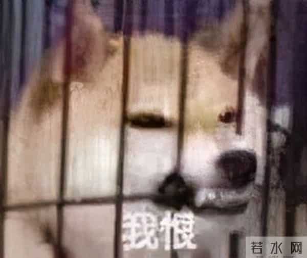 重庆嫩雀儿：直击重庆第一个限行+限号工作日交通路况！网友：被堵到怀疑人生