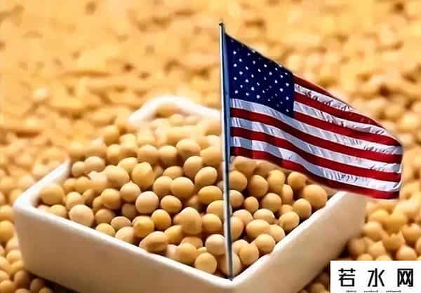 中国拒购美国大豆，美国土安全部表示哪怕政府停摆，关税也继续收