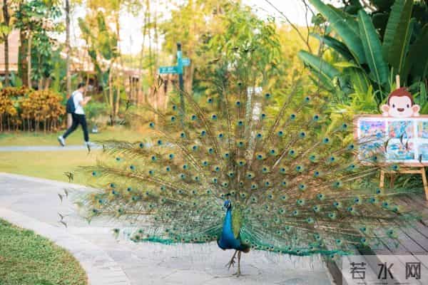 西双版纳住宿攻略推荐