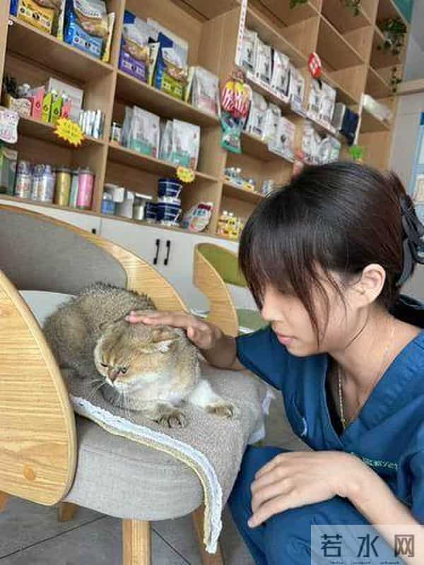 名望动物医院江北店怎么样