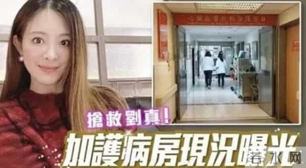 刘真的鞋子：刘真去世前状况曝光！脚趾都被截去，小S听闻后泣不成声！