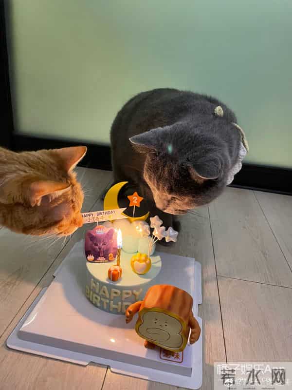 创造101陈语嫣在迪士尼工作