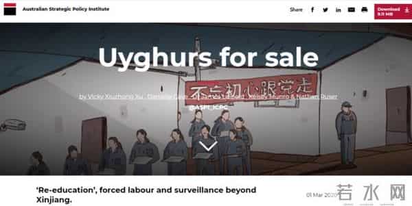 hm碰瓷新疆棉花