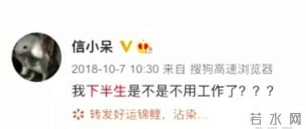 锦鲤信小呆暴富抑郁