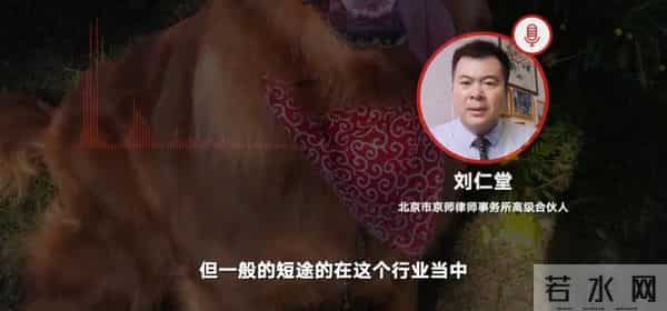 siri金毛托运事件