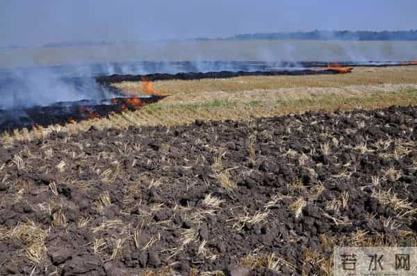 为什么只有日本有核废水