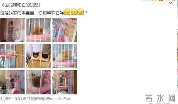 鲍语嫣：千面套娃鲍语嫣，每一层都给你一个惊喜！