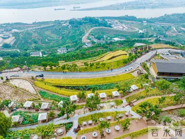 金鳌山:秋日金鳌山 五彩梯田美