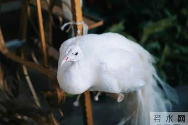 西双版纳住宿攻略推荐