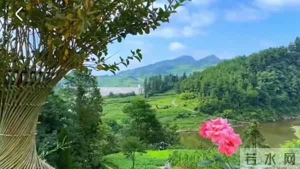 贵州避暑农家乐包吃住