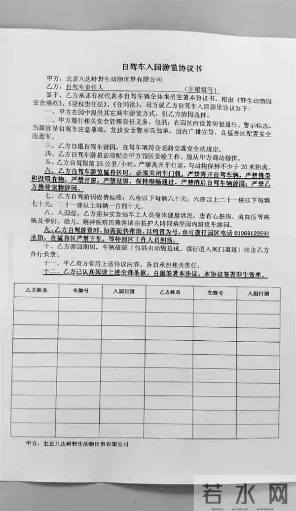 老虎伤人女主角摘口罩