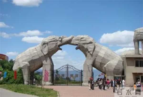 老虎伤人女主角摘口罩