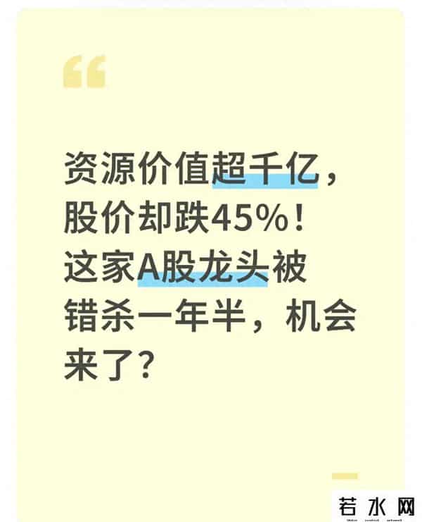 资源价值超千亿，股价却跌45%！A股龙头被错杀一年半，机会来了？