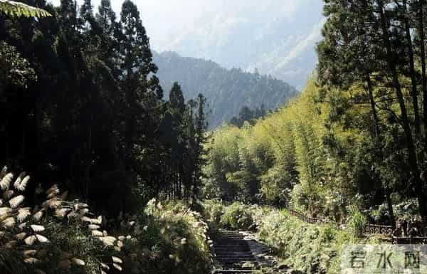 台湾红衣小女孩事件