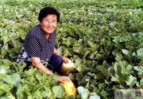 曹县翰林府吃瓜