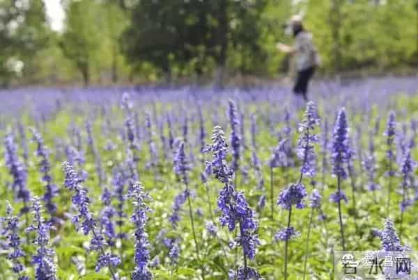 拉风娱乐：吐血盘点昌平景区最拉风的轰趴地！收藏了假期挨个去！