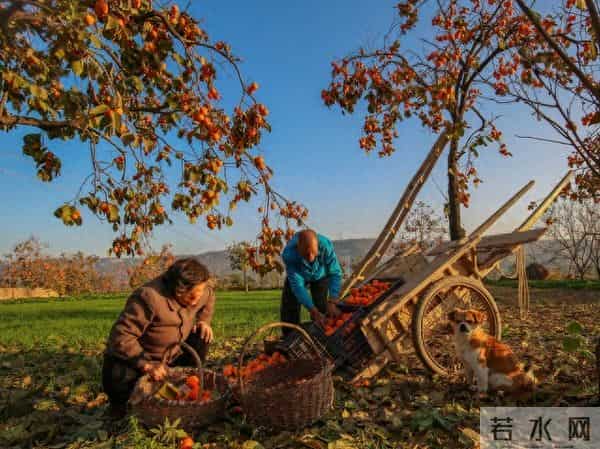 和理发店阿姨第一次