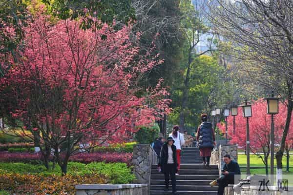 鸿恩寺儿童公园