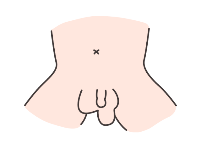 小JJ：男宝私处说明书：包皮、蛋蛋、小 JJ，这些问题必须得知道