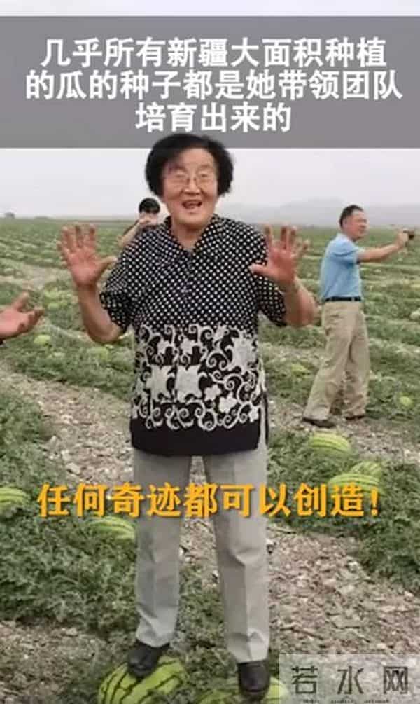 曹县翰林府吃瓜