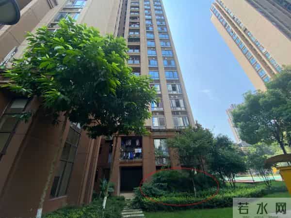 重庆两幼童坠亡案择期宣判