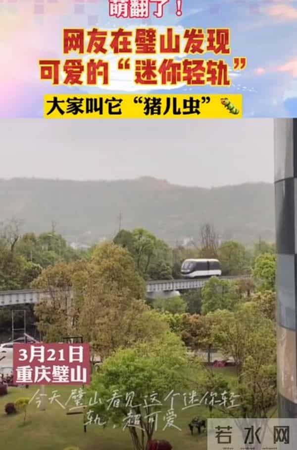 重庆猪儿虫轻轨