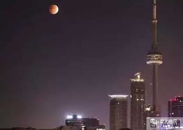 冷的噻:冷得噻!武汉多处湖泊结了冰!市民:能踩着玩吗?丨最武汉